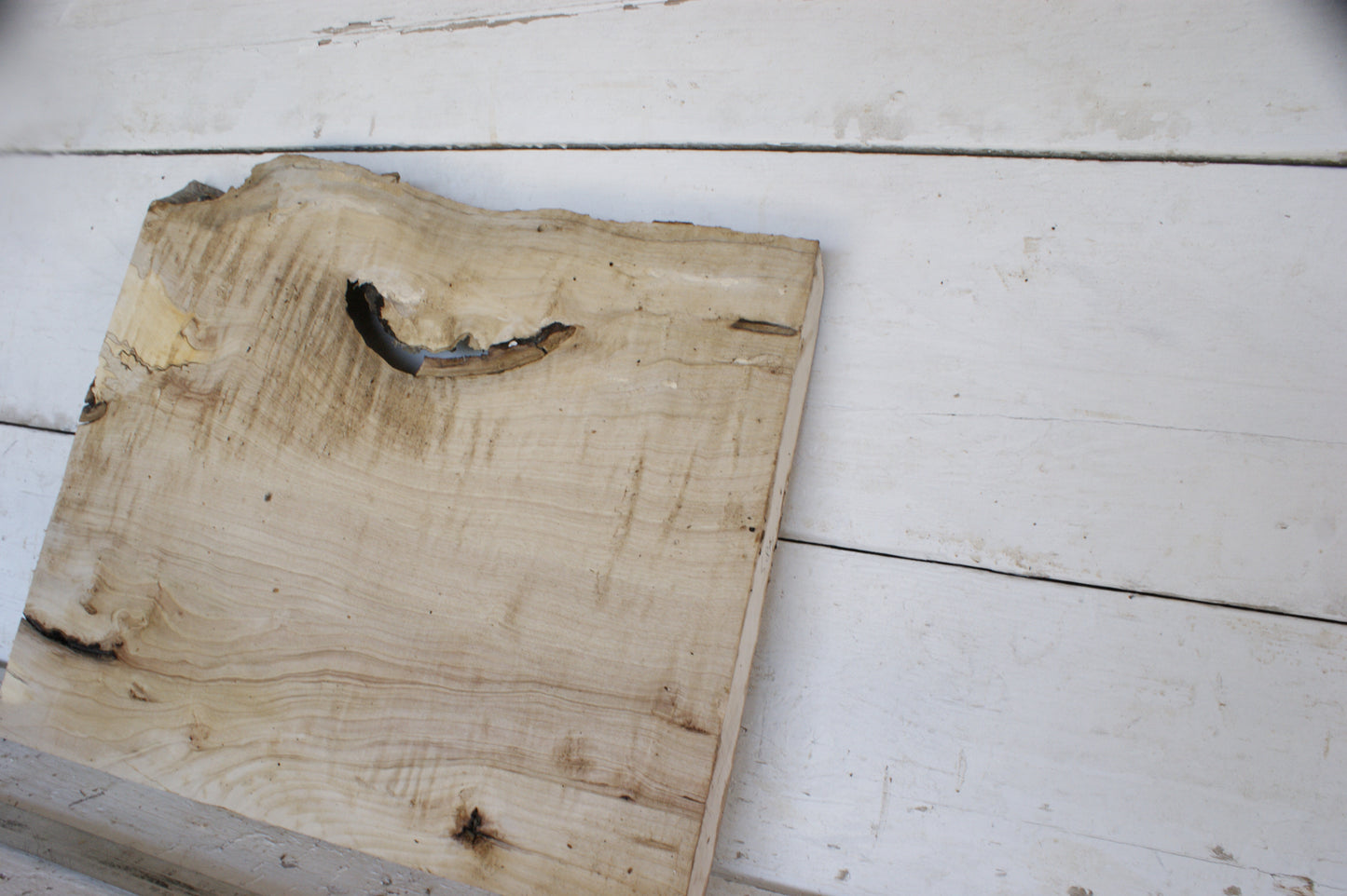 Hornbeam plank, 484 L x 417 - 365 W x 41 D (mm) hardwood board (487)