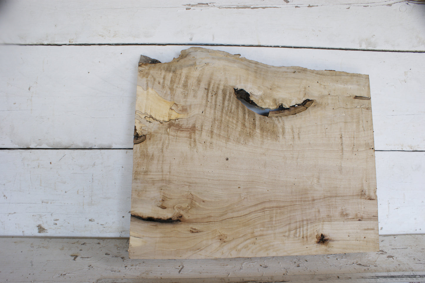 Hornbeam plank, 484 L x 417 - 365 W x 41 D (mm) hardwood board (487)