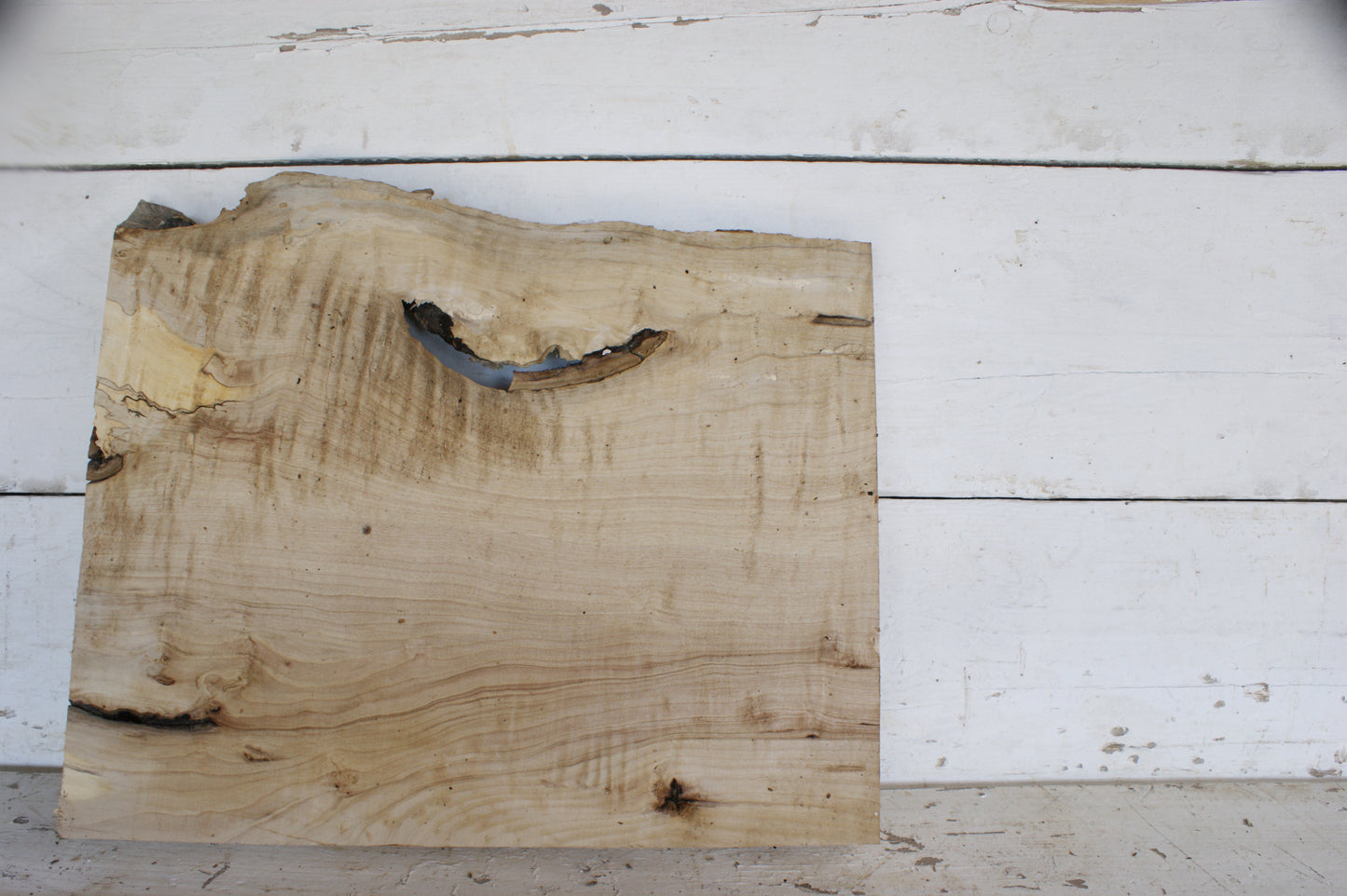 Hornbeam plank, 484 L x 417 - 365 W x 41 D (mm) hardwood board (487)