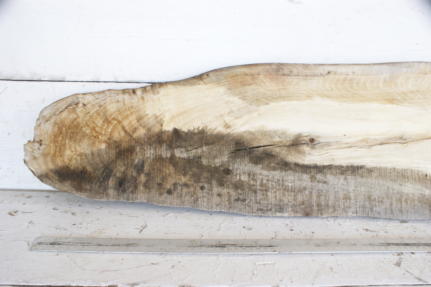 Hornbeam plank, 995 L x 260 - 125 W x 29 D (mm) hardwood board (488)