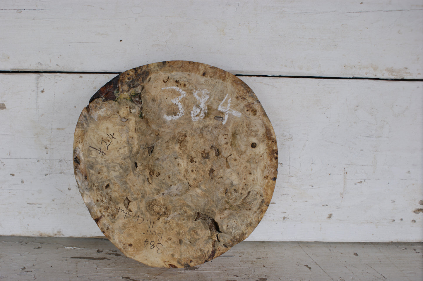 Burr Horse Chestnut wood turning blank 9 W x 1 3/4 D Inches (384)
