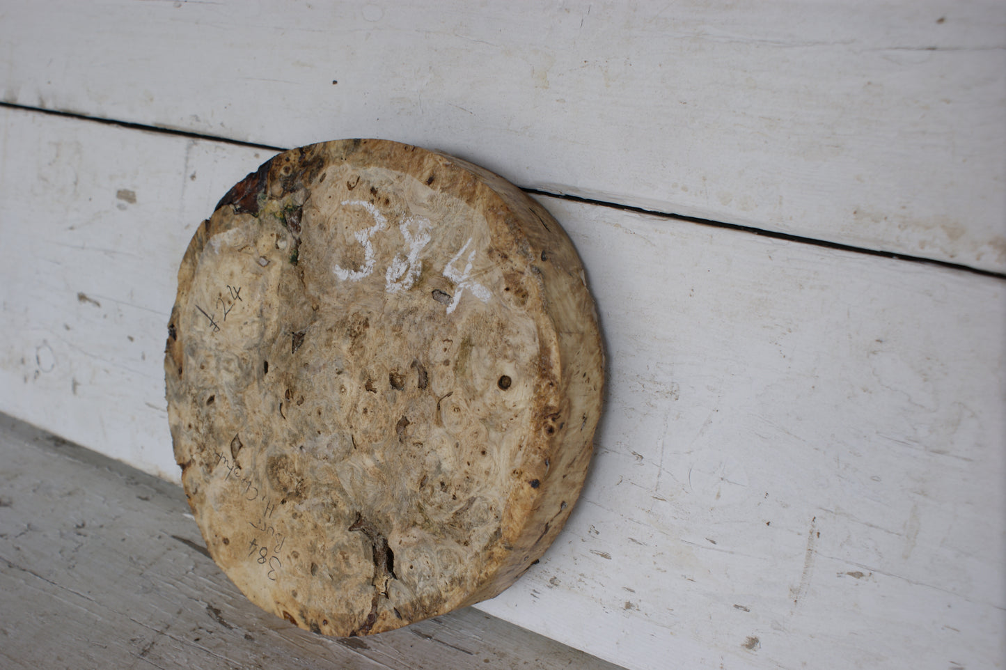 Burr Horse Chestnut wood turning blank 9 W x 1 3/4 D Inches (384)