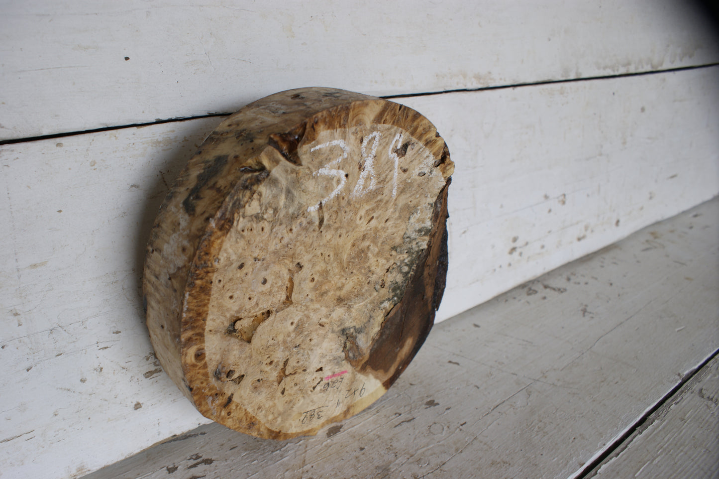 Burr Horse Chestnut wood turning blank 9 W x 2 D Inches (389)