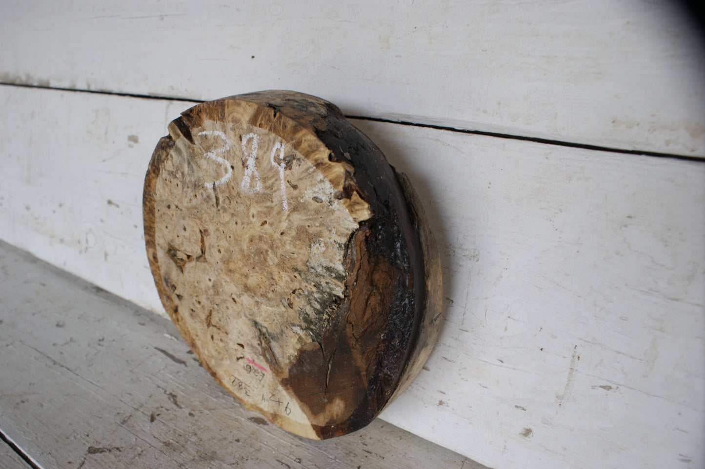 Burr Horse Chestnut wood turning blank 9 W x 2 D Inches (389)