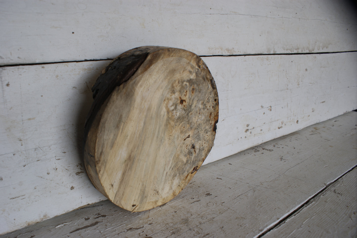 Burr Horse Chestnut wood turning blank 9 W x 2 D Inches (389)
