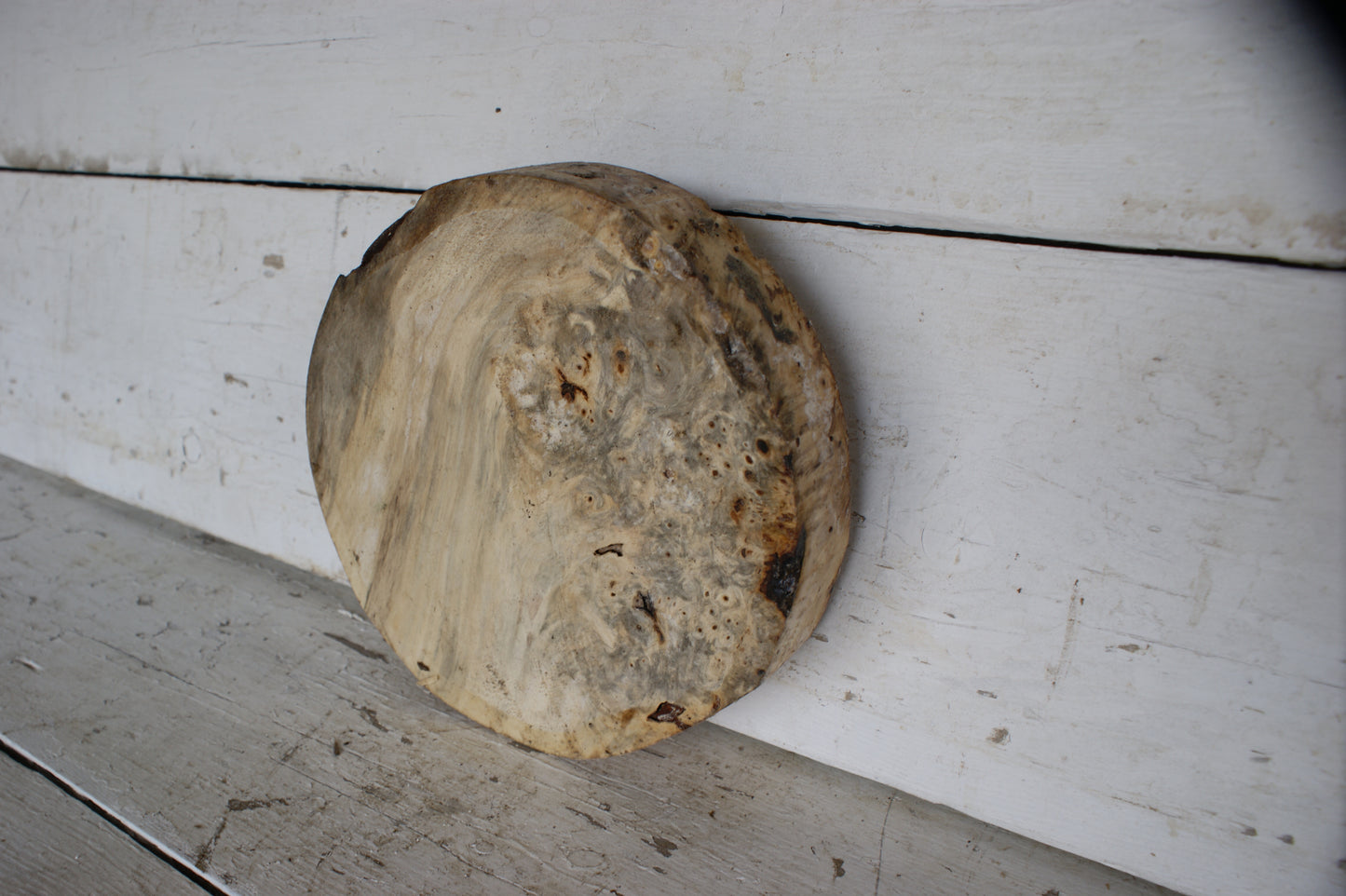 Burr Horse Chestnut wood turning blank 9 W x 2 D Inches (389)