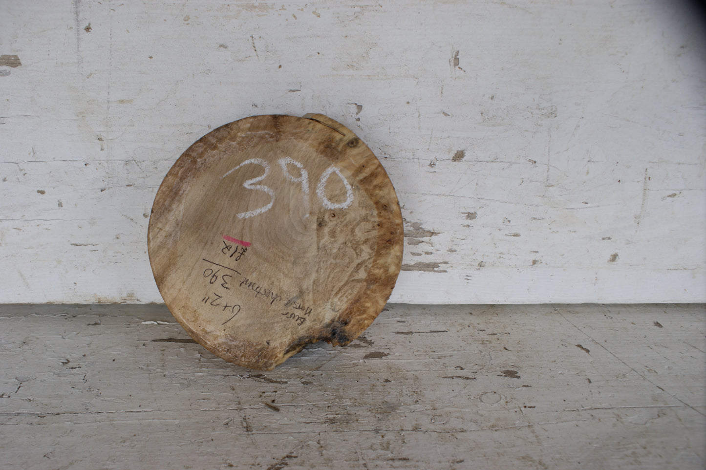 Burr Horse Chestnut wood turning blank 6 W x 2 D Inches (390)