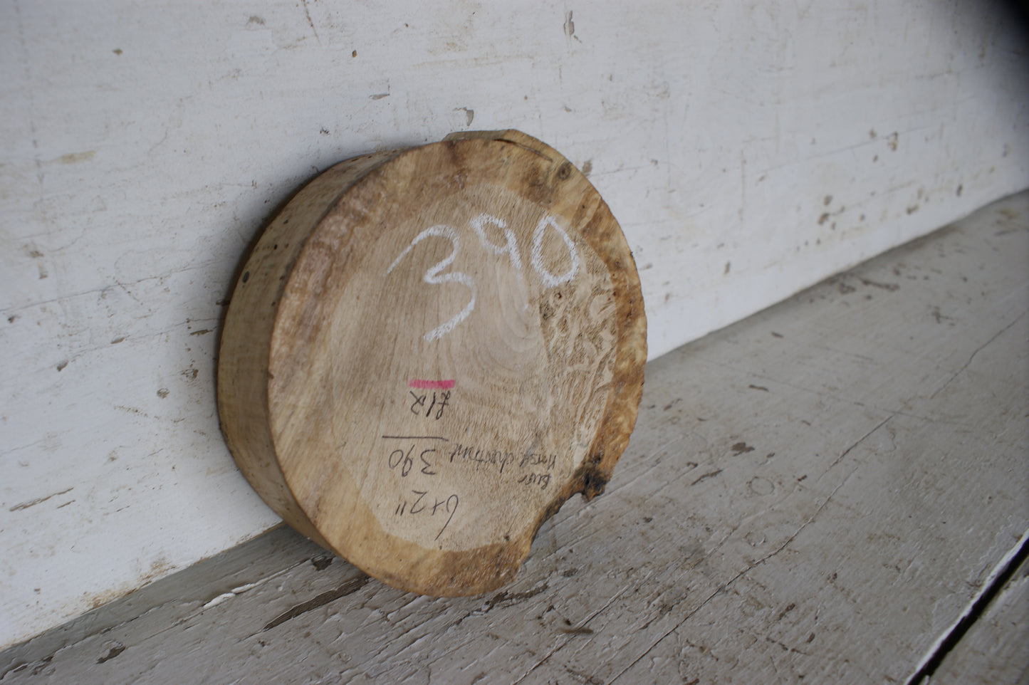Burr Horse Chestnut wood turning blank 6 W x 2 D Inches (390)