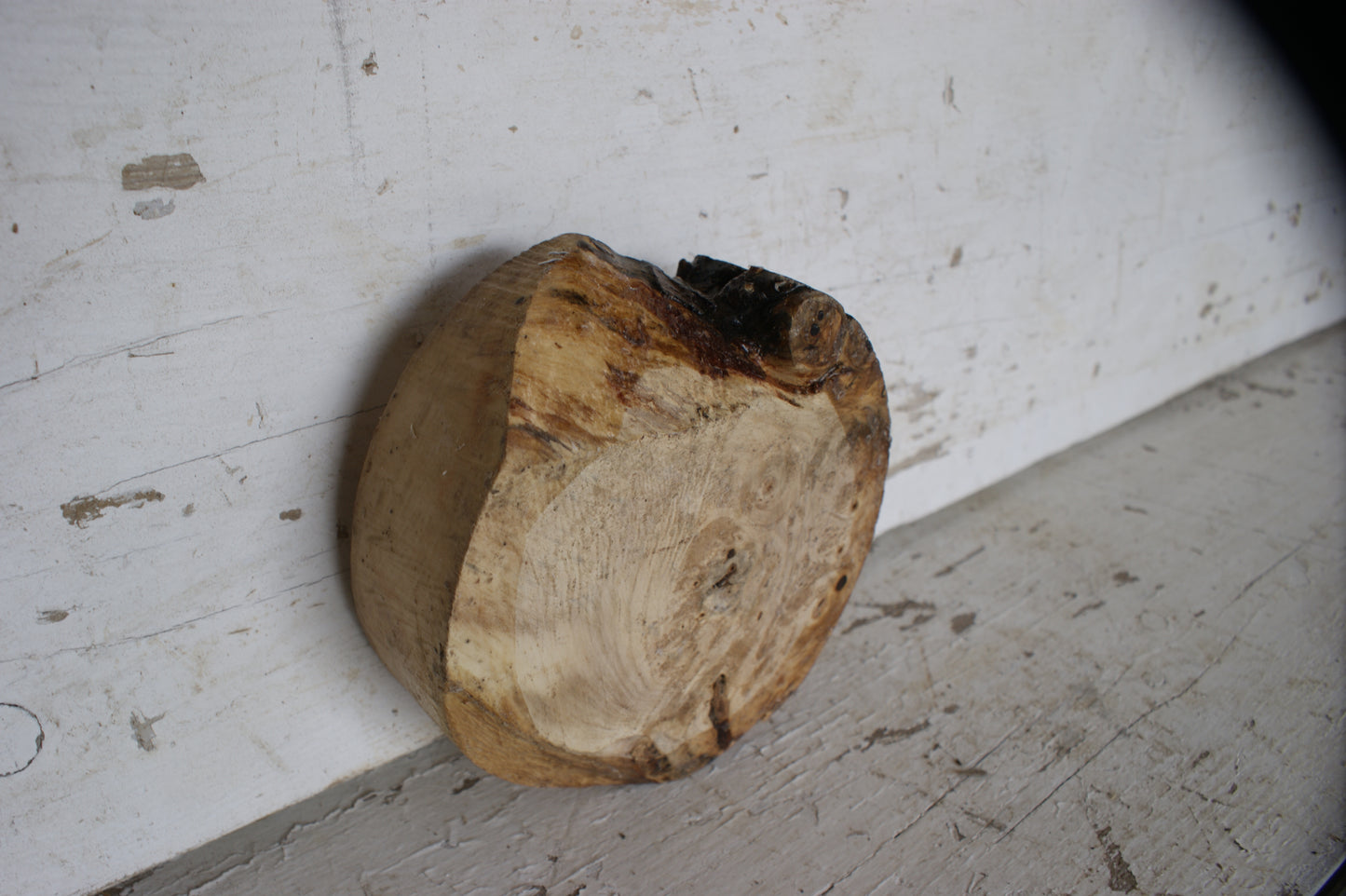 Burr Horse Chestnut wood turning blank 6 W x 2 D Inches (390)