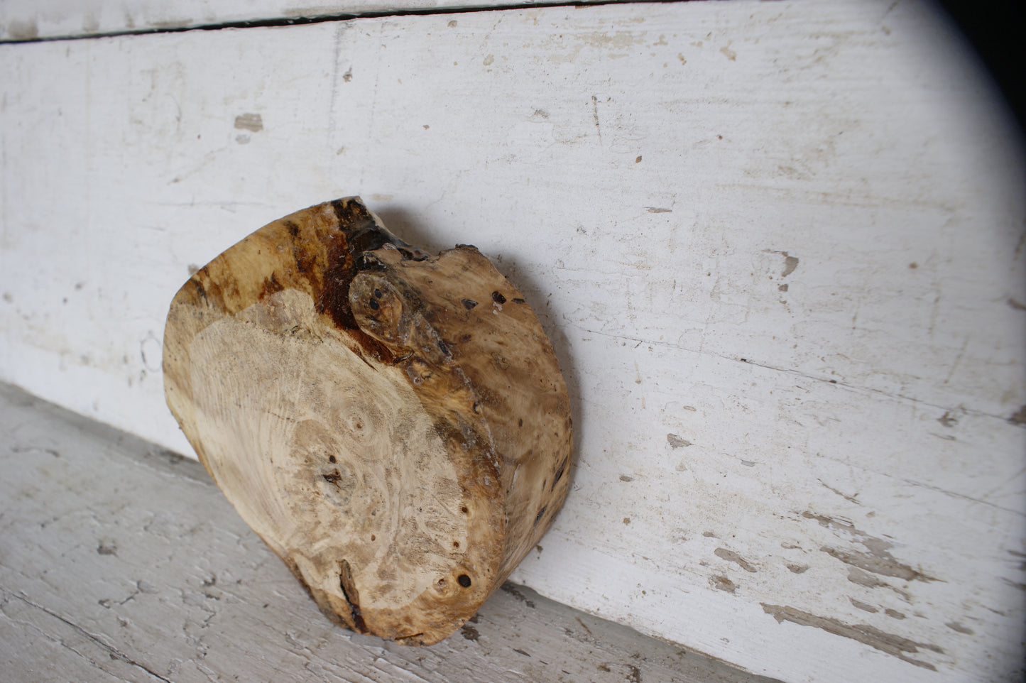 Burr Horse Chestnut wood turning blank 6 W x 2 D Inches (390)