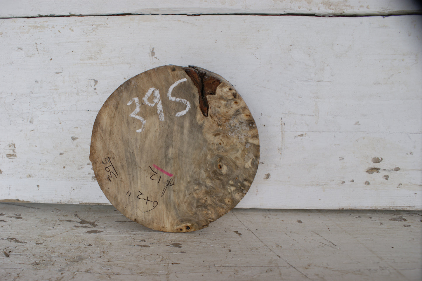Burr Horse Chestnut wood turning blank 6 W x 2 D Inches (395)