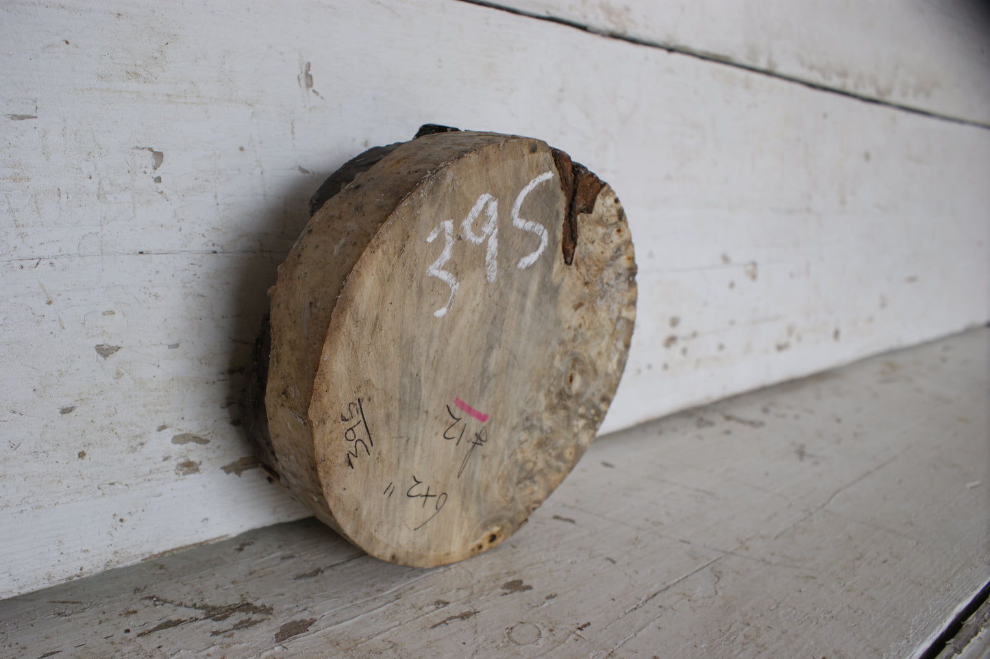 Burr Horse Chestnut wood turning blank 6 W x 2 D Inches (395)