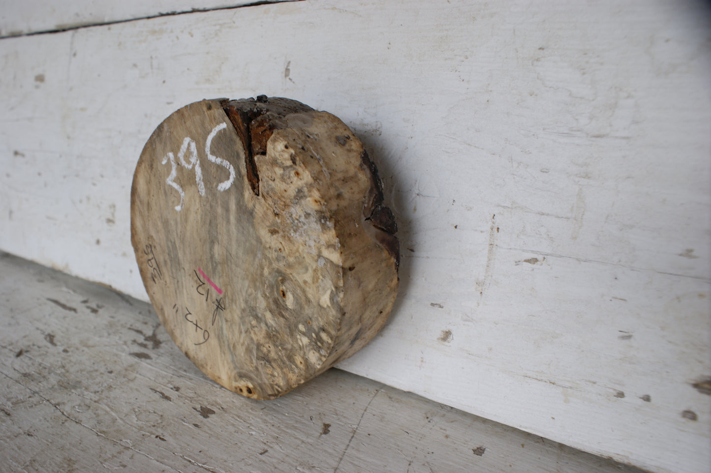 Burr Horse Chestnut wood turning blank 6 W x 2 D Inches (395)