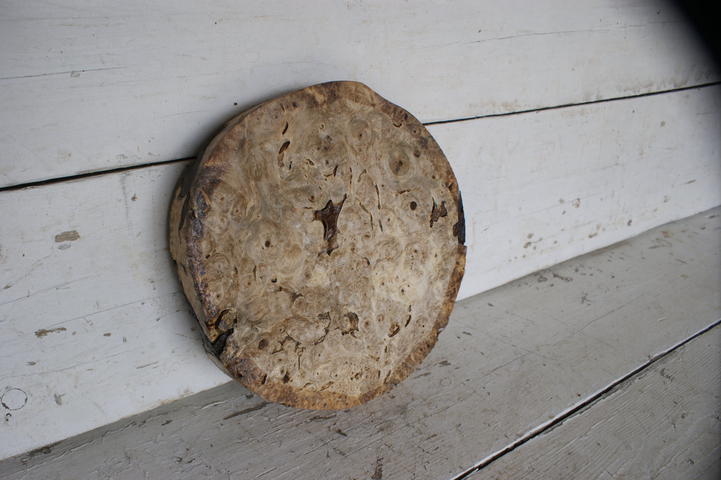 Burr Horse Chestnut wood turning blank 11 W x 1 3/4 D Inches (397)