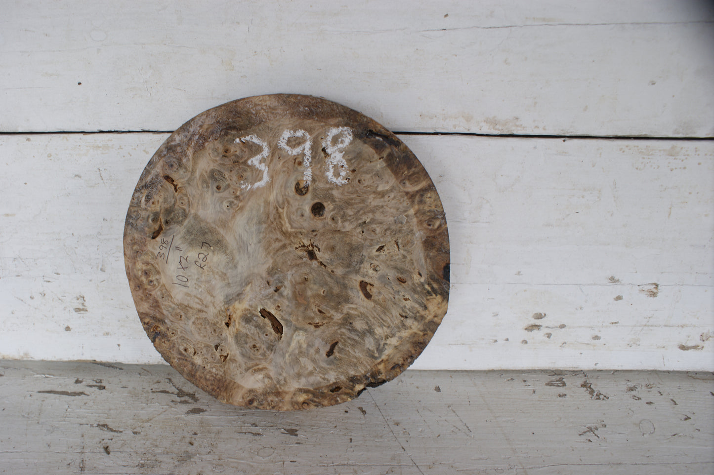 Burr Horse Chestnut wood turning blank 10 W x 2 D Inches (398)