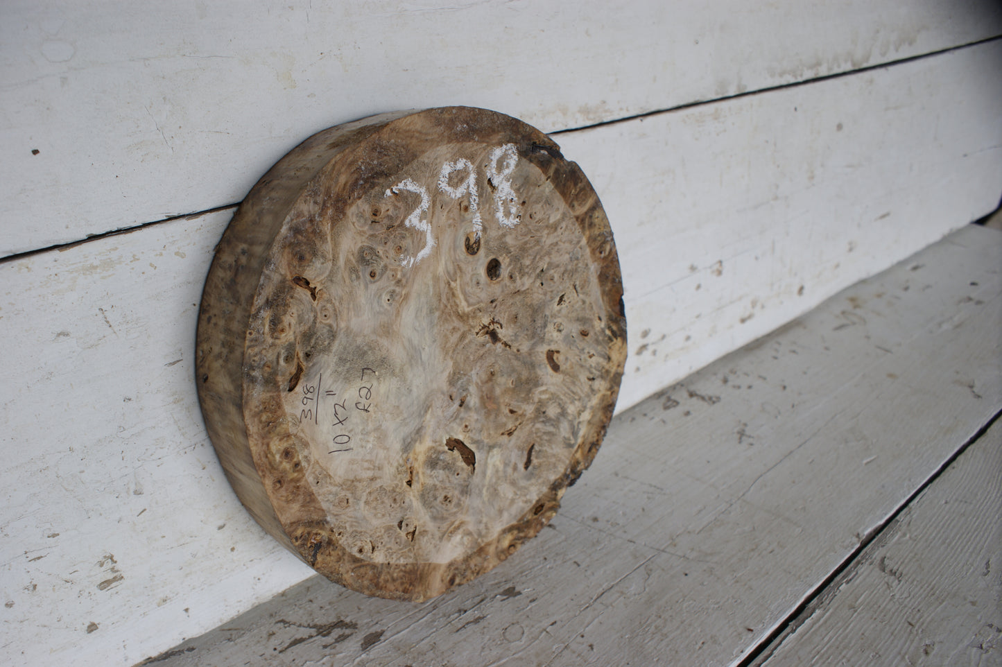 Burr Horse Chestnut wood turning blank 10 W x 2 D Inches (398)