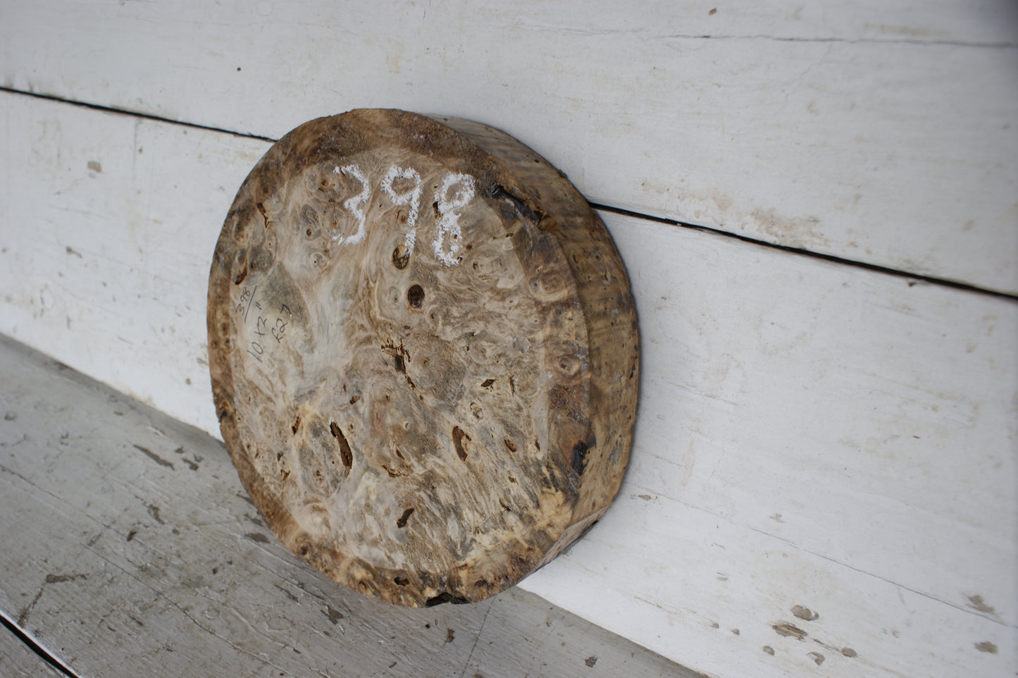 Burr Horse Chestnut wood turning blank 10 W x 2 D Inches (398)