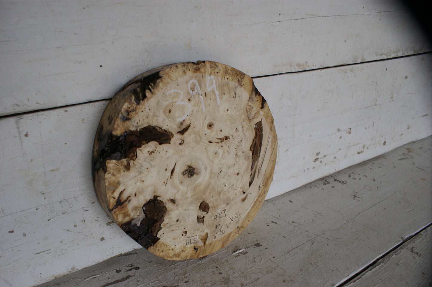 Burr Horse Chestnut wood turning blank 10 W x 1 3/4 D Inches (399)