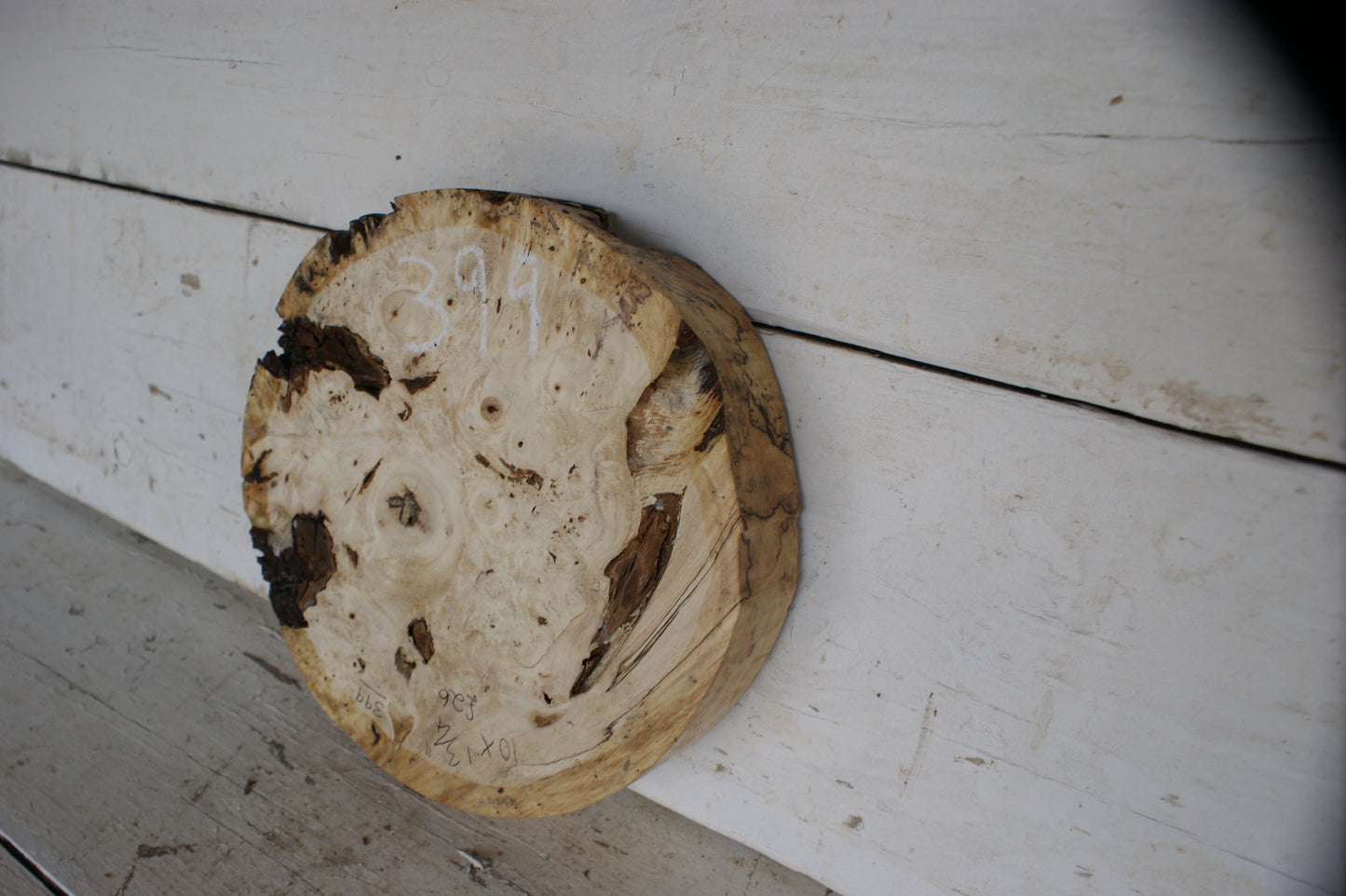 Burr Horse Chestnut wood turning blank 10 W x 1 3/4 D Inches (399)