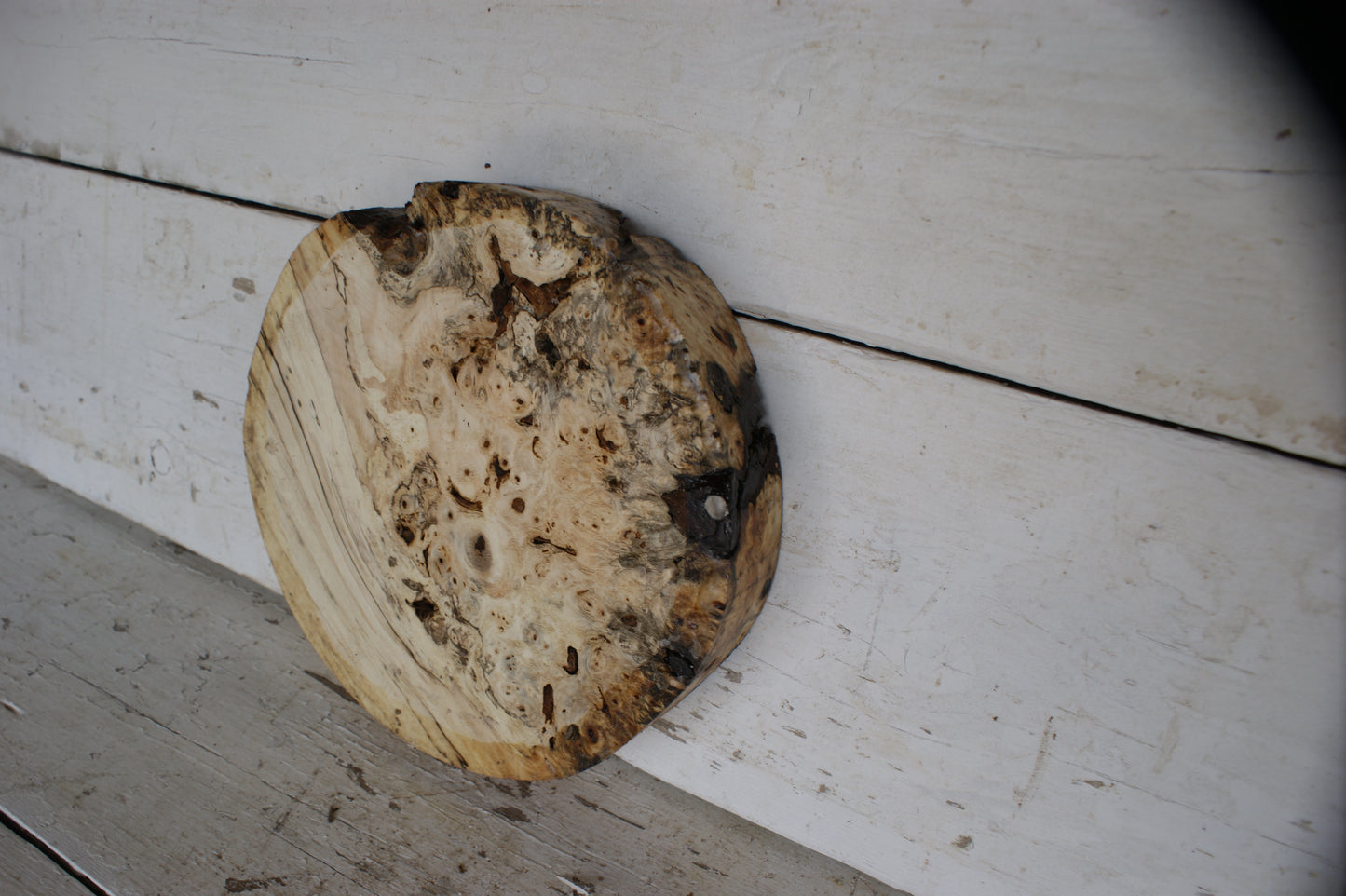 Burr Horse Chestnut wood turning blank 10 W x 1 3/4 D Inches (399)