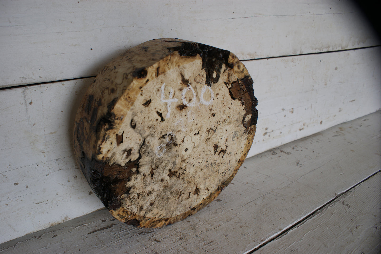 Burr Horse Chestnut wood turning blank 11 W x 3 D Inches (400)