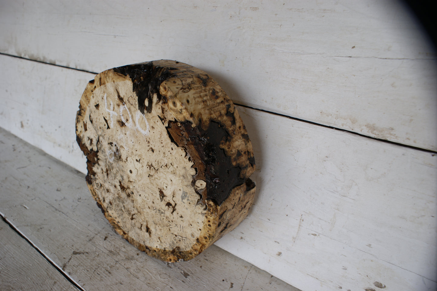 Burr Horse Chestnut wood turning blank 11 W x 3 D Inches (400)