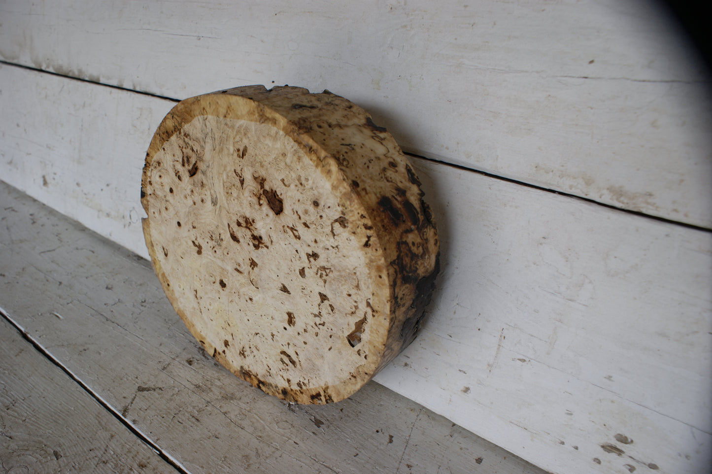 Burr Horse Chestnut wood turning blank 11 W x 3 D Inches (400)