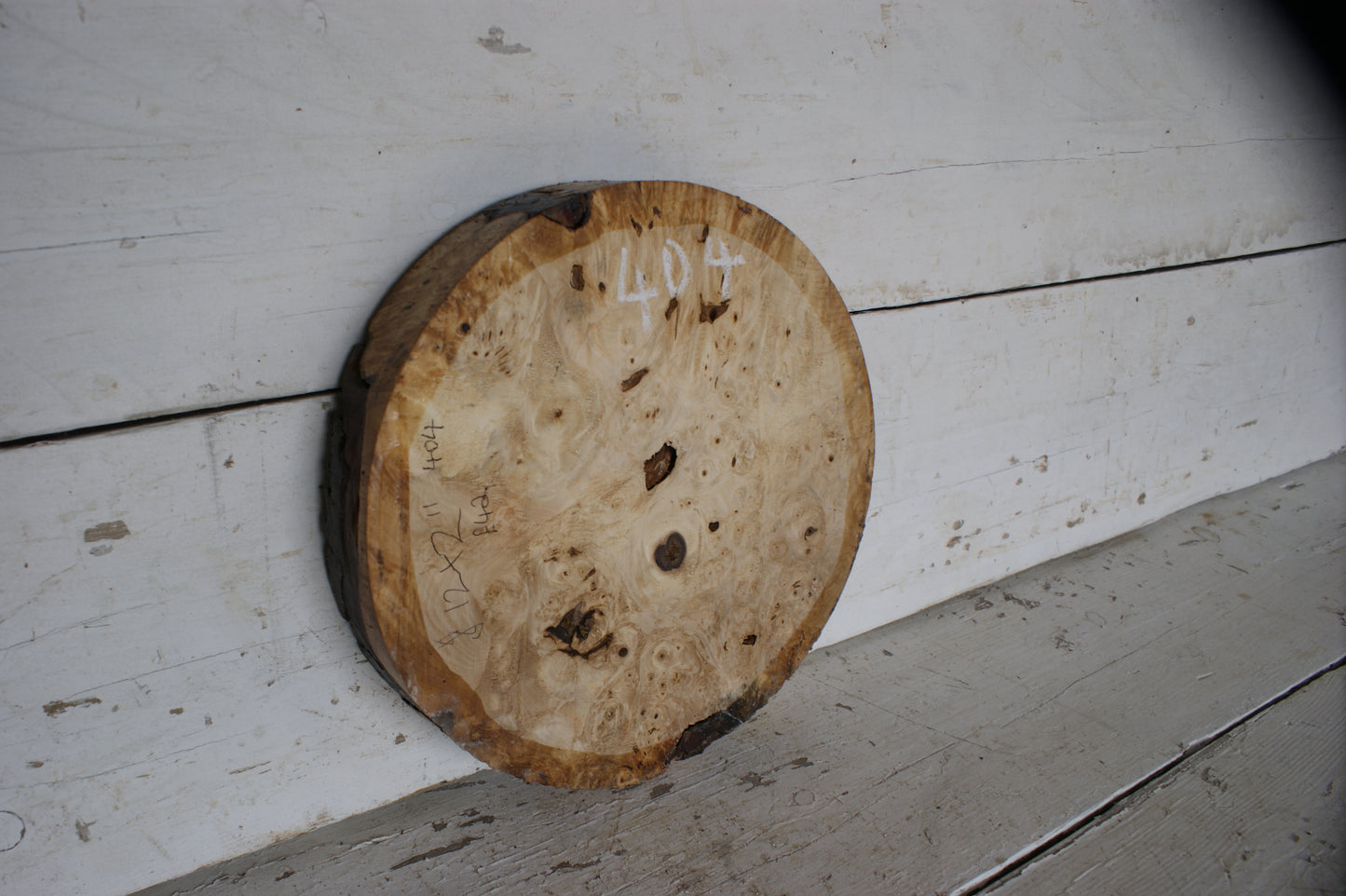 Burr Horse Chestnut wood turning blank 12 W x 2 D Inches (404))