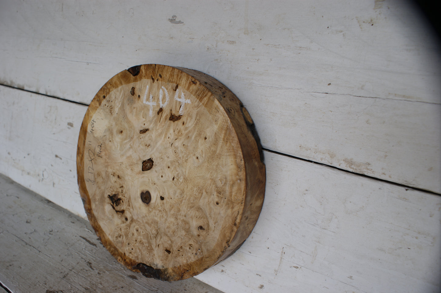 Burr Horse Chestnut wood turning blank 12 W x 2 D Inches (404))