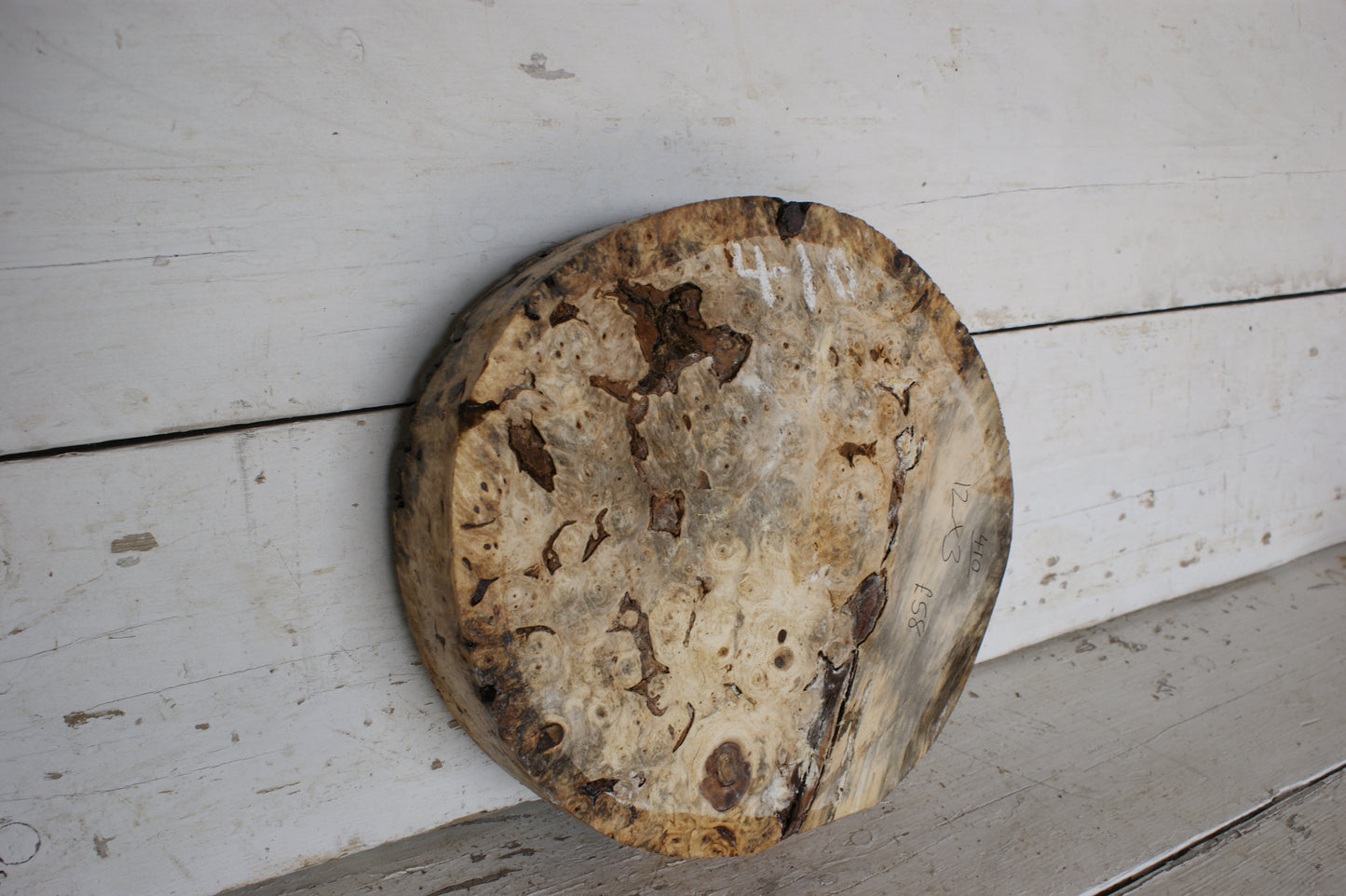 Burr Horse Chestnut wood turning blank 12 W x 3 D Inches (410)