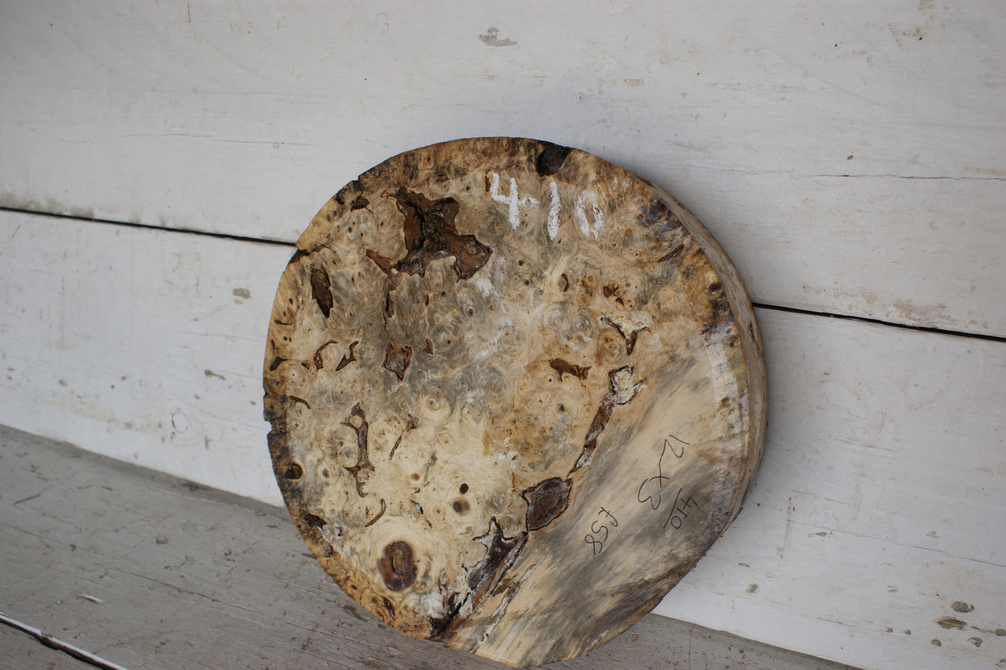 Burr Horse Chestnut wood turning blank 12 W x 3 D Inches (410)