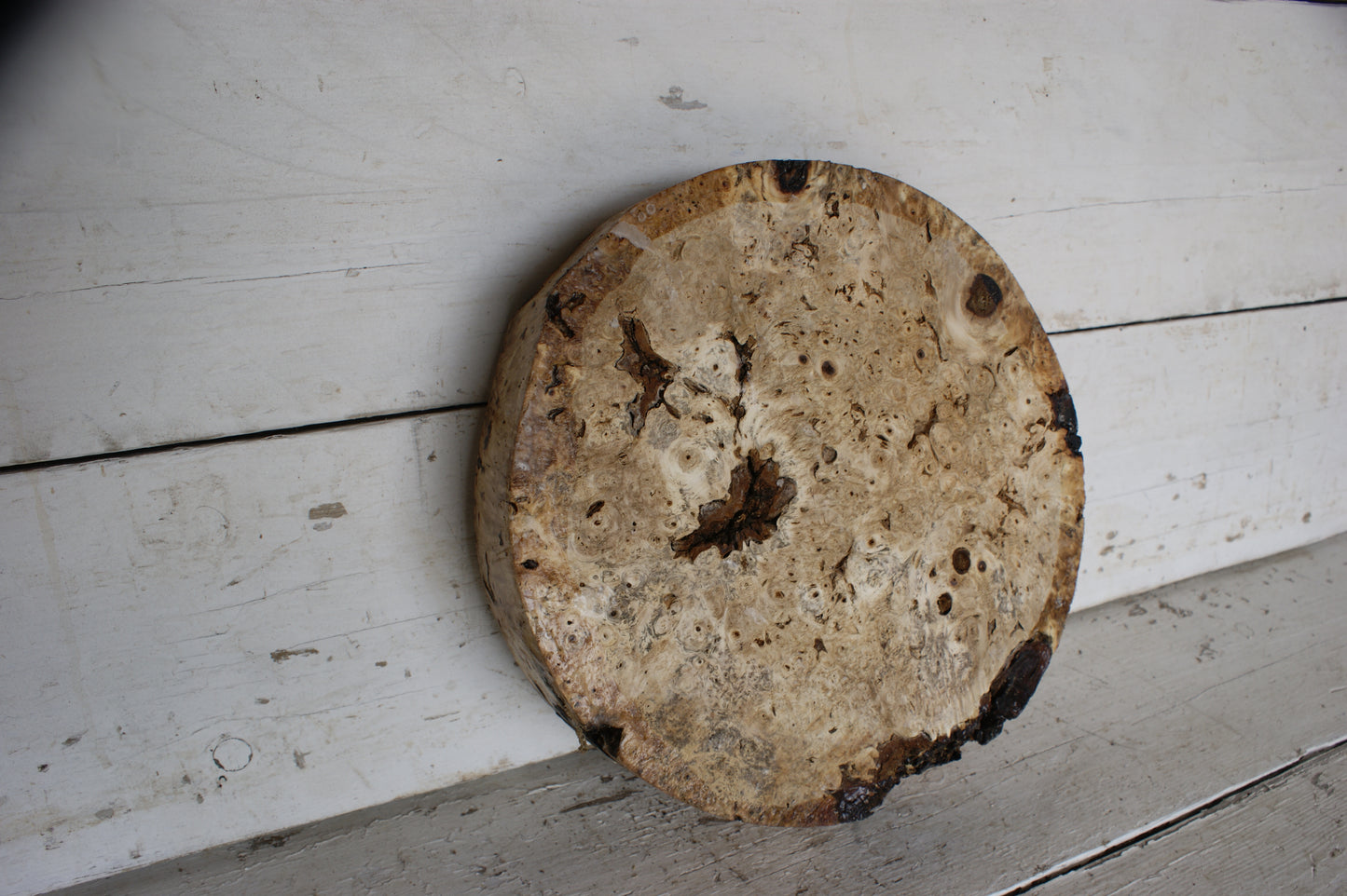 Burr Horse Chestnut wood turning blank 13 W x 3 D Inches (412)