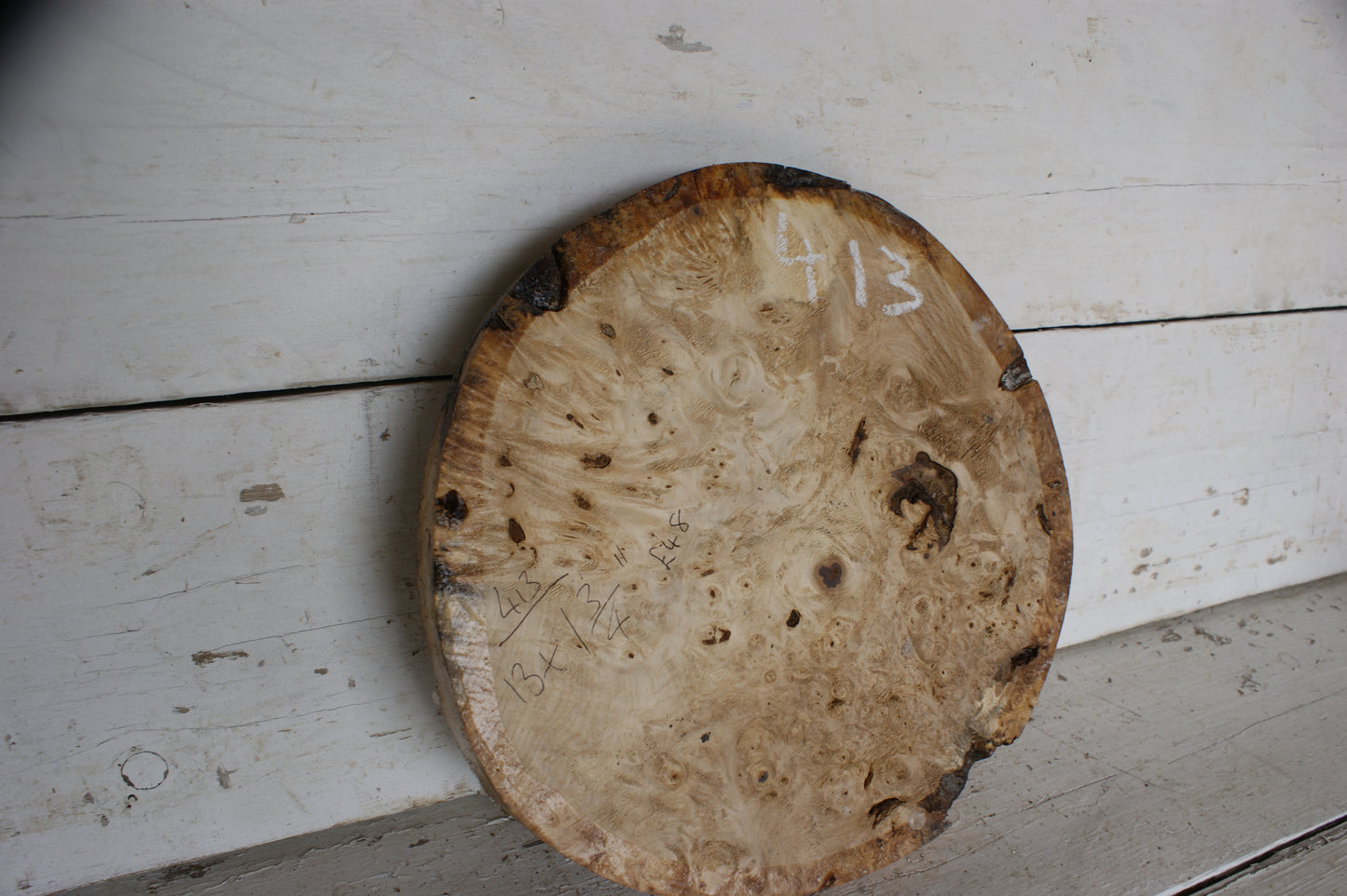 Burr Horse Chestnut wood turning blank 13 W x1 3/4 D Inches (413)