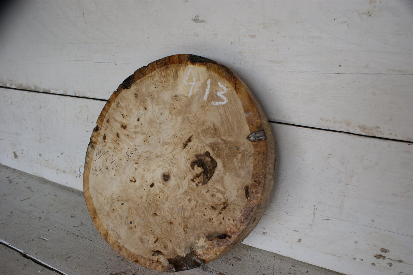 Burr Horse Chestnut wood turning blank 13 W x1 3/4 D Inches (413)