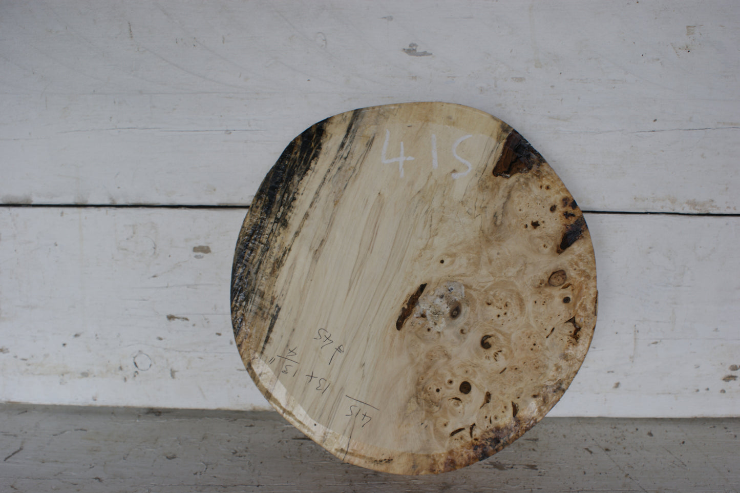 Burr Horse Chestnut wood turning blank 13 W x 1 3/4 D Inches (415)