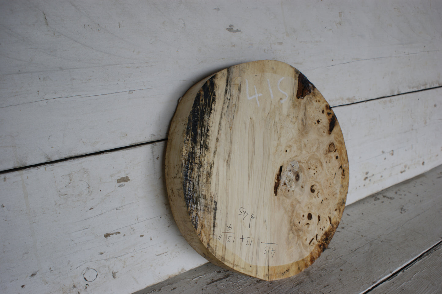 Burr Horse Chestnut wood turning blank 13 W x 1 3/4 D Inches (415)