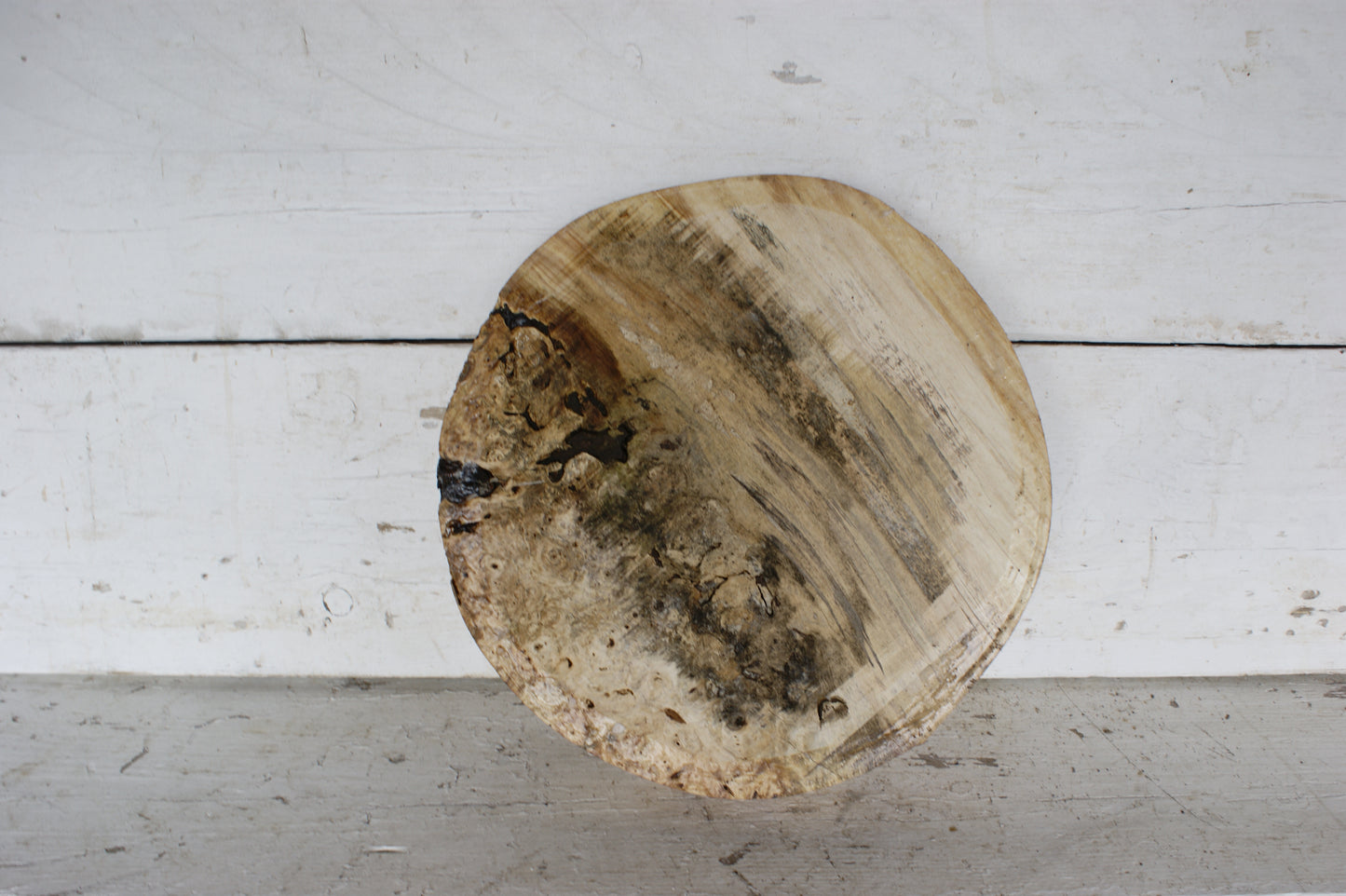 Burr Horse Chestnut wood turning blank 13 W x 1 3/4 D Inches (415)