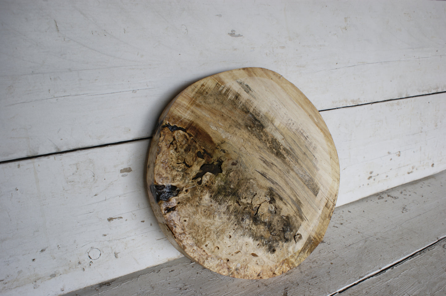 Burr Horse Chestnut wood turning blank 13 W x 1 3/4 D Inches (415)