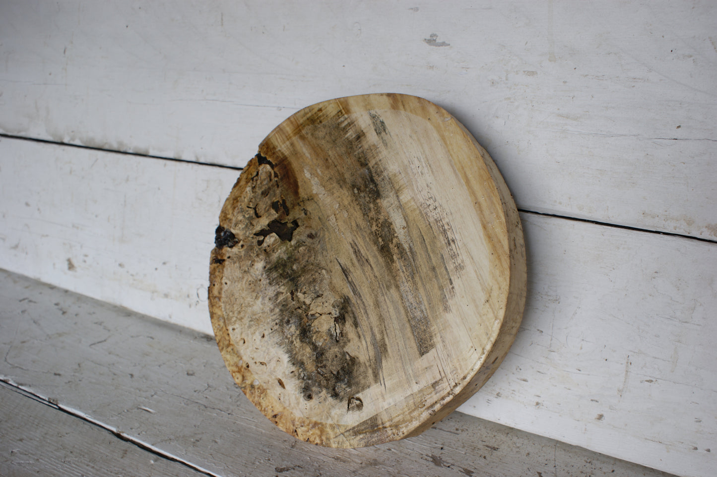 Burr Horse Chestnut wood turning blank 13 W x 1 3/4 D Inches (415)