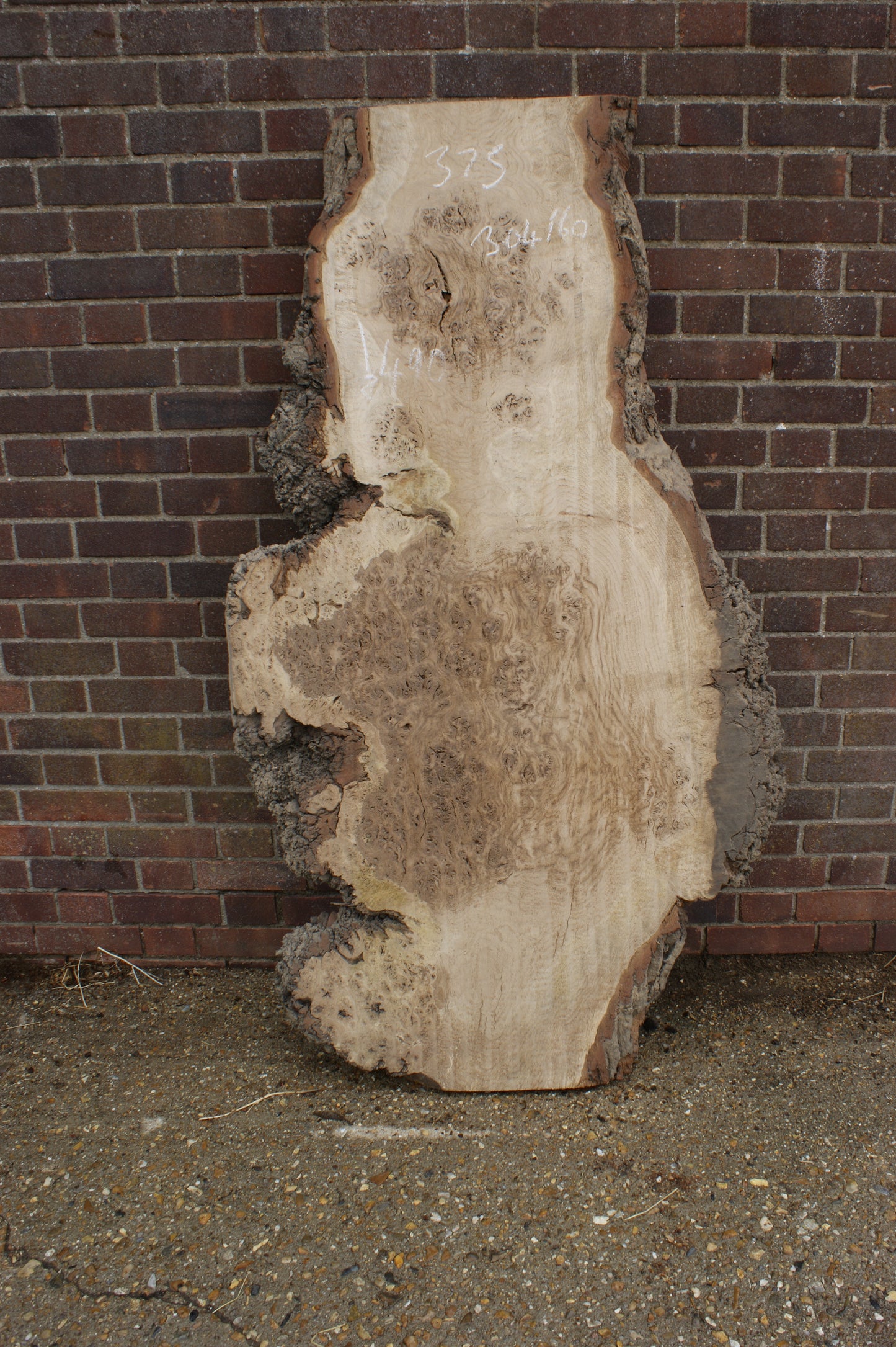 Brown Burr Oak Slab, Kiln Dried 1650 L x 940-410 W x 52 D mm (375)
