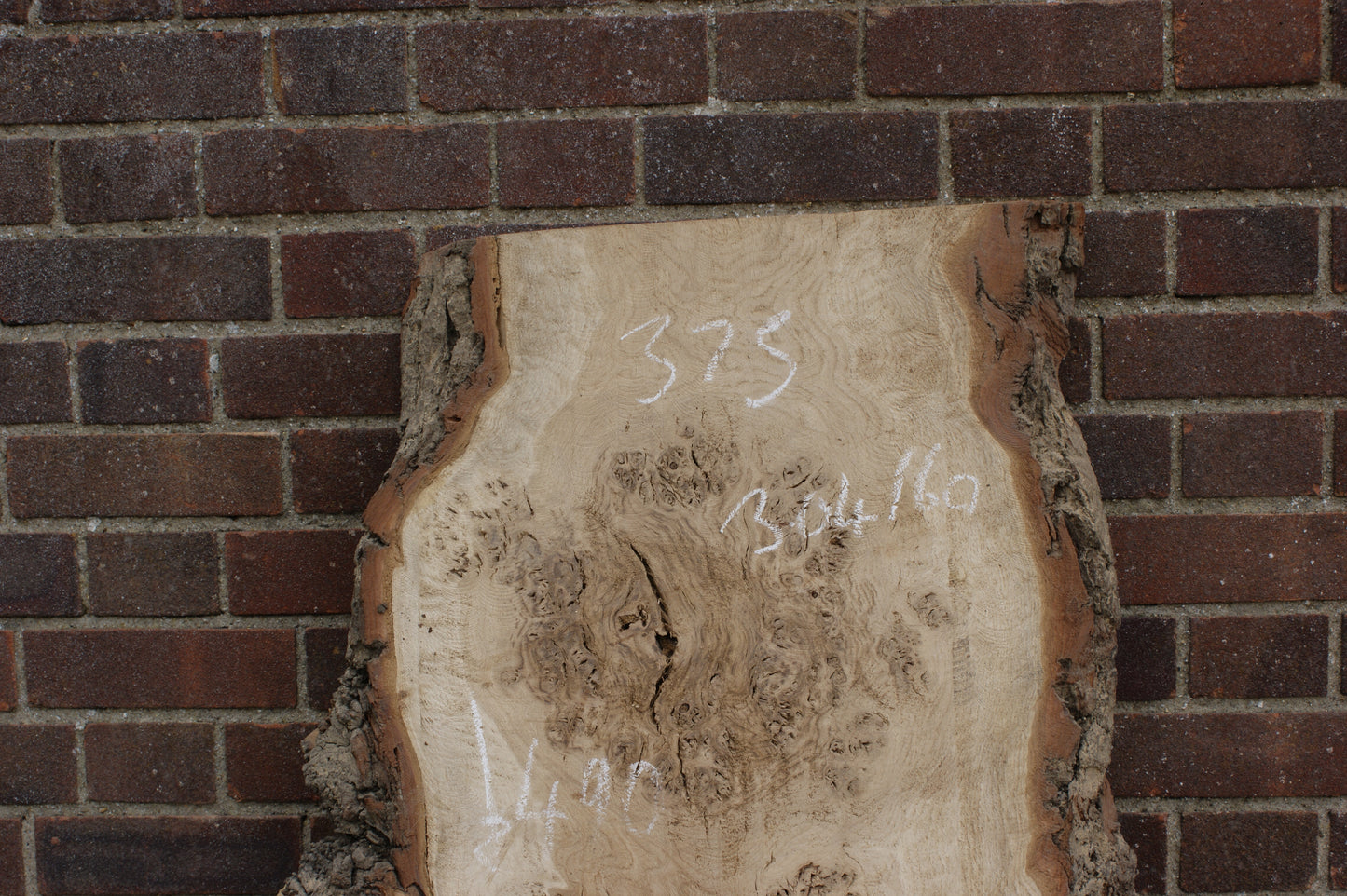 Brown Burr Oak Slab, Kiln Dried 1650 L x 940-410 W x 52 D mm (375)