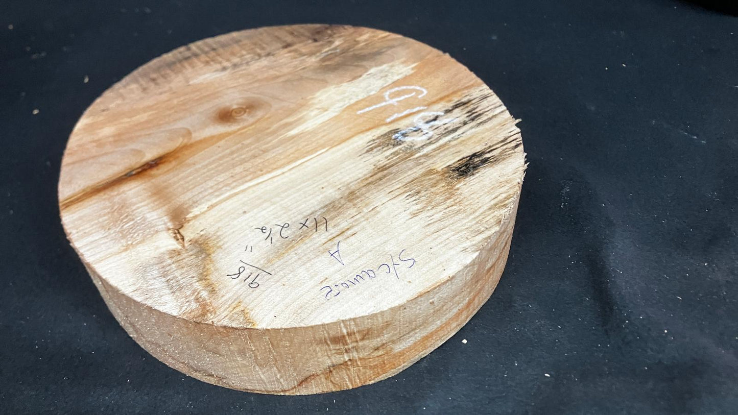 A Grade dry 11" x 2.5" Sycamore wood turning blank (918)