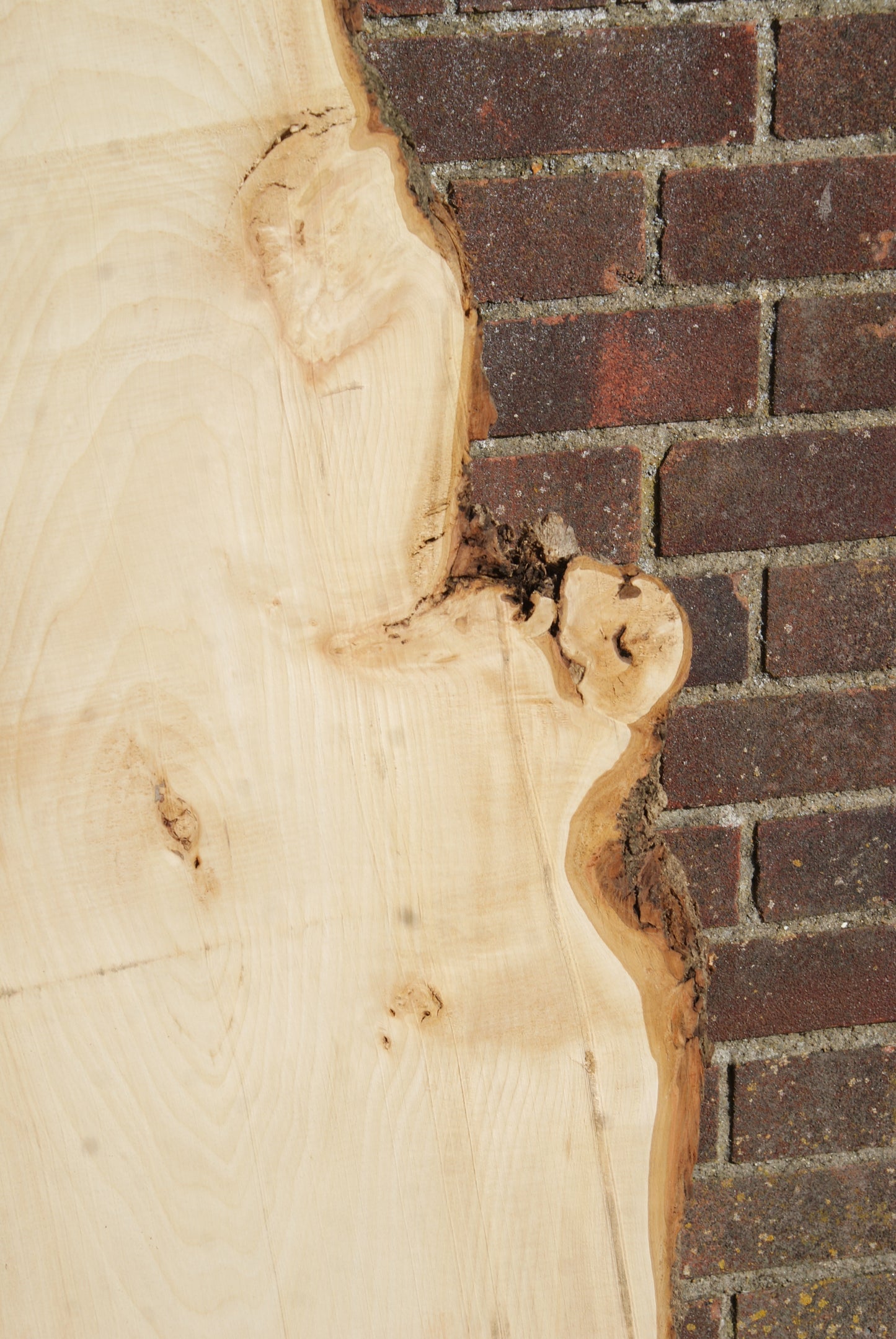 Lime, 1857 L x 485 - 260 W x 37 D (mm) (26)