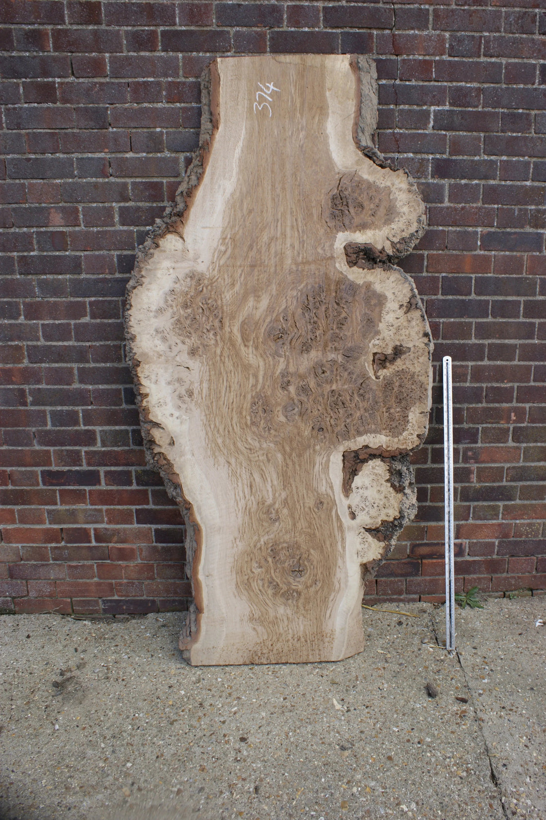 Kiln-Dried Timber Is Coming to the Yard