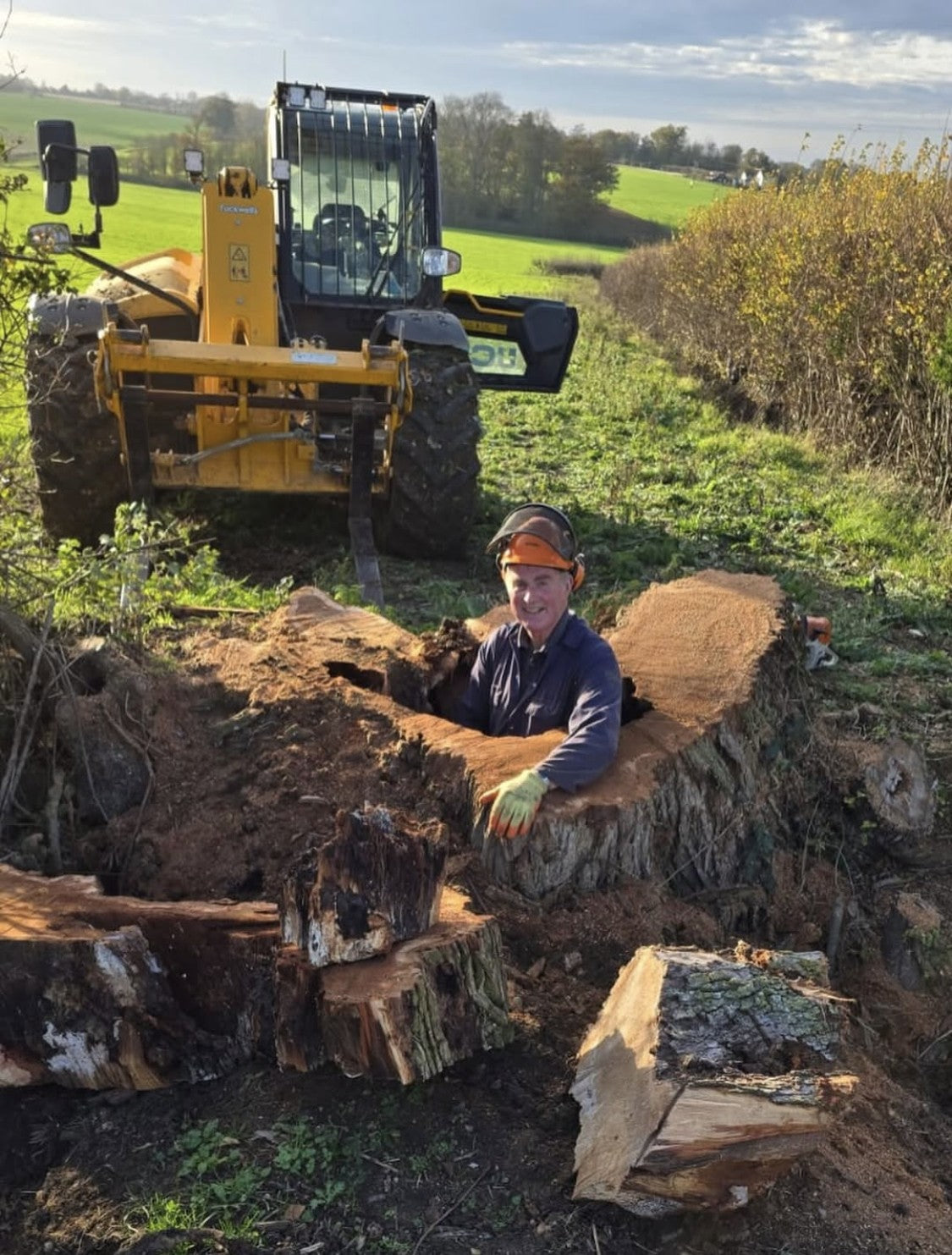 A local farmer wearing a hard hat and workwear sits inside a large, hollow cavity in the trunk of a diseased elm tree in a field with heavy machinery in the background.