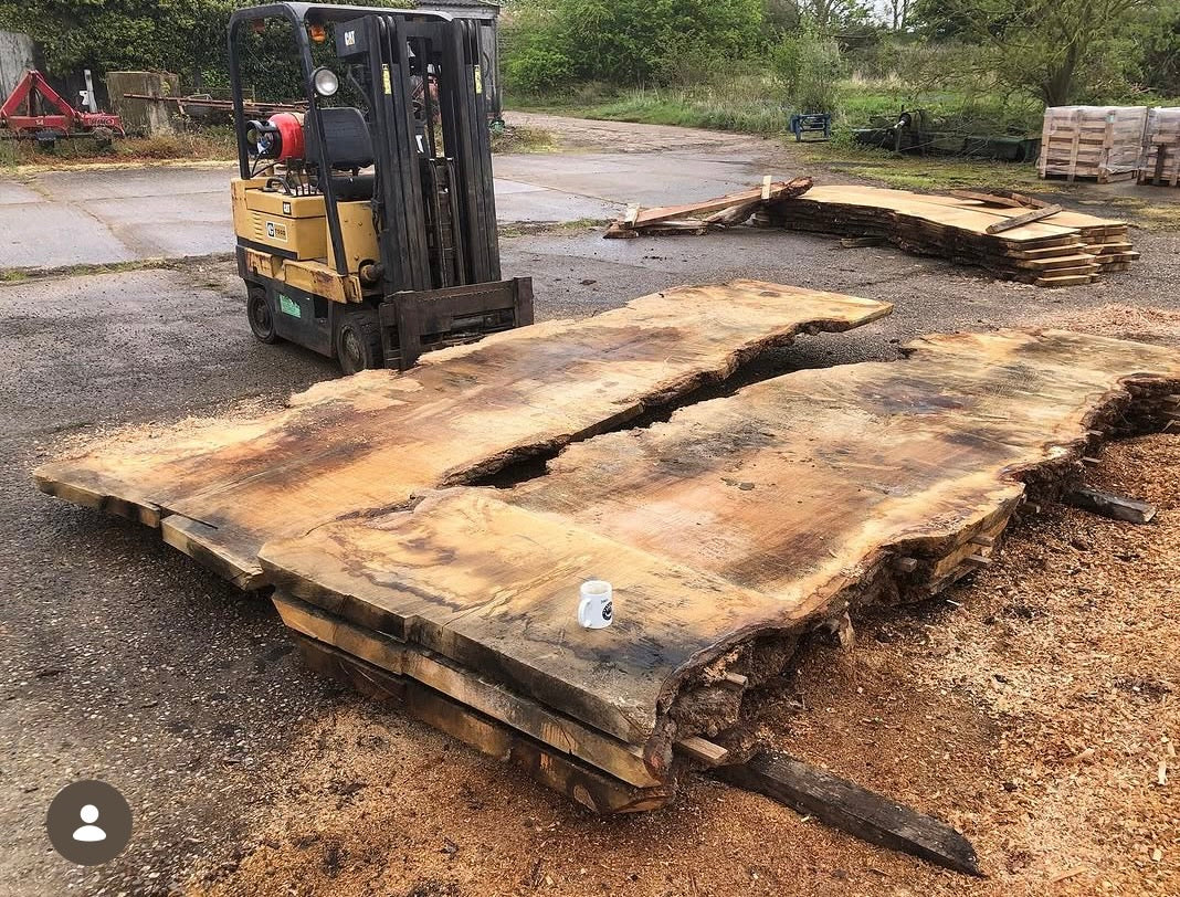 How to Buy an Oak Slab: Moisture, Size & Delivery | Treecycling UK