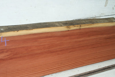 Seqoiuia - Red Cedar