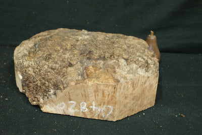 Burr Wood turning blanks