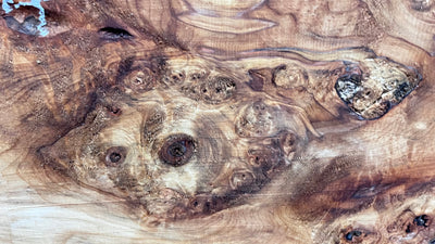Horse Chestnut