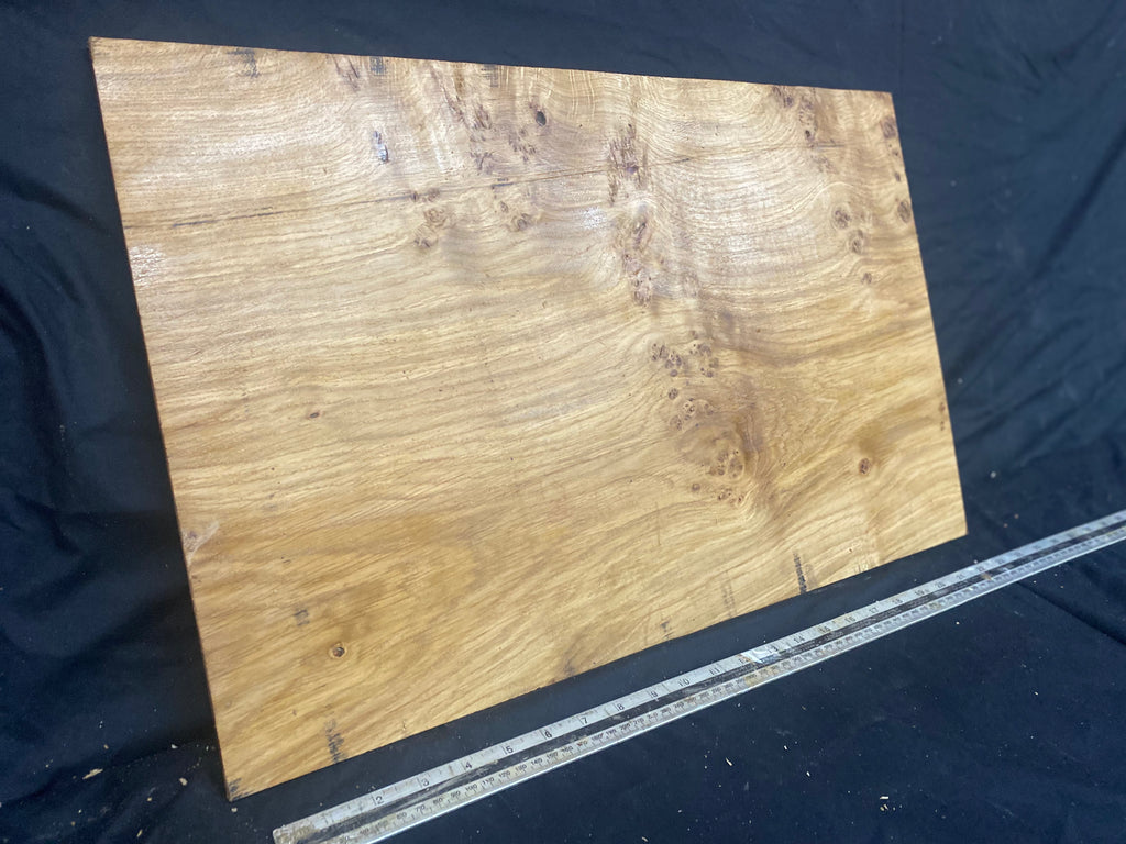 Pippy oak tone wood, craft wood, box makin 611 L x 392 W x 13 D (mm)    (260)